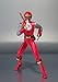 Bandai Tamashii Nations S.H. Figuarts 