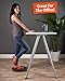 URBNFit Plastic Balance Board - Wooden Wobble Board Trainer for Exercise, Standing Desk and Physical Therapy - Rotational Exercises Provide A Full Body Fitness Workout Focusing On Core, Legs, Back