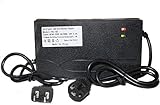 Hi-Q 48V Volt 2.5A Battery Charger for Electric Car E-bike Scooter With Adapter