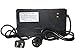 Hi-Q 48V Volt 2.5A Battery Charger for Electric Car E-bike Scooter With Adapter
