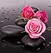 New 5D Diamond Painting Kits for Adults Kids, Awesocrafts Cobblestone Pink Roses, Stone Partial Drill DIY Diamond Art Embroidery Paint by Numbers with Diamonds (Cobblestone)