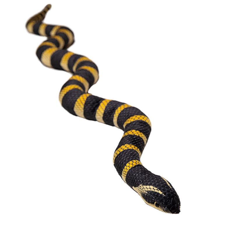 RUIXIA Lifelike Plush Snake Stuffed Animal Soft Cuddly Plush Toy 59Inch Giant Fake Fluffy Snake Present Recycled Simulation Python Doll Pet Two-Toned Scary Snake Figure Model Halloween Prank Prop