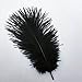 Shekyeon 8-10inch(20-25cm) Ostrich Feather Plumes Wedding Centerpiece Table Decoration Pack of 20(Black)