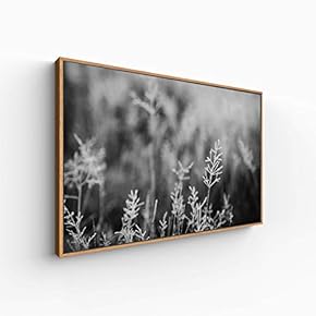 Canvas Wall Art for Living Room, Bedroom Monochrome Plants Framed Canvas Prints for Home Decoration Ready to Hang - 16x24 inches