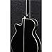 Ibanez AEG10NII Nylon String Acoustic-Electric Guitar (Black)