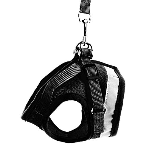 Kamots Beauty Escape Proof Cat Harness and Leash for Walking Adjustable Soft Mesh Pet Vest with Lead for Kitten Puppy Rabbit （Black,L）