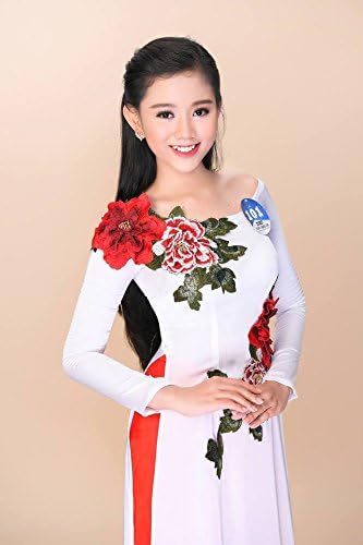Ao Dai - Traditional Viet Nam Vietnamese Long Dress Collections With Pants - Silk Thai Tuan - Custom- All Sizes