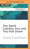 Image de The Spirit Catches You and You Fall Down: A Hmong Child, Her American Doctors, and the Collision of Two Cultures