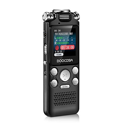 Buy Voice Recorder 8GB Audio Sound Recorder Portable Rechargeable