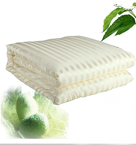 Shi Shang Pure Mulberry Silk Filled Comforter Silk Comforter Silk Duvet Silk Quilt (87x95inches)Doona Coverlet Blanket Bedspread Color Yellow for Summer Season use