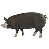 Safari Ltd. Berkshire Pig - Realistic Hand Painted Toy Figurine Model - Quality Construction from Phthalate, Lead and BPA Free Materials - for Ages 3 and Up
