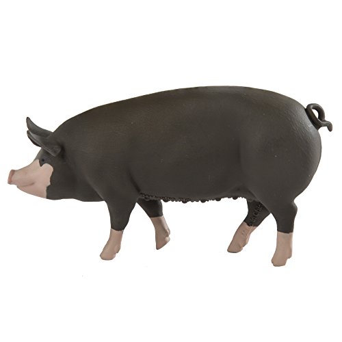 Safari Ltd. Berkshire Pig - Realistic Hand Painted Toy Figurine Model - Quality Construction from Phthalate, Lead and BPA Free Materials - for Ages 3 and Up