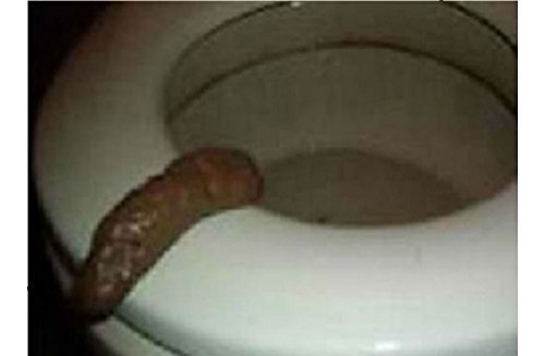 Prank GAG GIFT FAKE HUMAN POOP TURD CRAP POO Fun Gross Joke POOPER TRICK Novelty