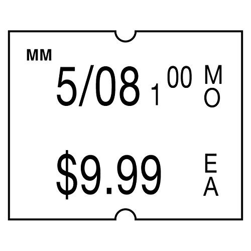 DayMark Label Gun Convenience Kit: Includes SpeedyMark 2-Line Marker, Permanent Labels & Ink Rollers