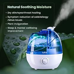 Cool Mist Humidifiers for Bedroom & Large Room