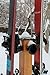 Button Ski Hanger 5-Pack, 5 Individual Fixtures To Safely Store 5 Pairs Of Alpine Skis Of Any Shape Or Size (Rockers, Carvers, Racers, Kids) To Make A Wall Or Floor Ski Storage Rack
