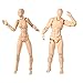 Action Figure Model,Tulas Human Mannequin male/female Set with Model Gun and Sword, Different Gestures,Special Display Base, Suitable for Sketching, Painting, Drawing, Artist, Cartoon Figures Action.