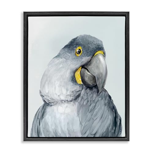 Vivid Plumage Parrot Wildlife, 24 x 30 Inch Canvas in Floater Frame