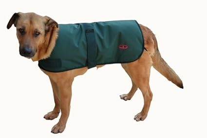 Outback jack dog coat Clearance