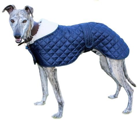 Cosipet Greyhound Anorak, 28-inch/ 71 cm, Blue, 28-inch/71 cm
