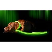 ILLUMISEEN LED Light Up Dog Leash | Ultra High Visibility Up to 350 Yards | 3 Lighting Modes | USB Rechargeable, No Batteries