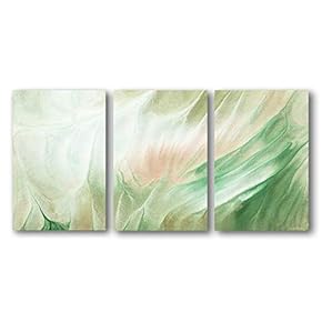 3 Panel Canvas Wall Art Abstract Color Pictures Home Wall Decorations for Bedroom Living Room Paintings Canvas Prints Framed - 16"x24" x 3 Panels