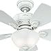 Hunter Fan Company, 52089, 34 inch Watson Snow White Ceiling Fan with LED Light Kit and Pull Chain