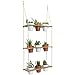 3 Tiered Hanging Planter Shelf with Pot Set, Wood Floating Herb Garden for Kitchen Counter, Vertical Succulent Hanger for Patio, Porch, Balcony, Boho Plant Shelves for Wall, Multi Tier Vertical Standthumb 1