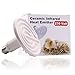 Aiicioo 250 Watt 110 Volt Ceramic Heat Emitter for Reptiles or Amphibians White