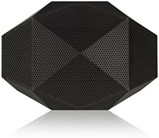 turtle shell speaker