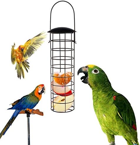 Amazon Com Bird Feeding Bird Feeder Outdoor Wild Birds Feeding