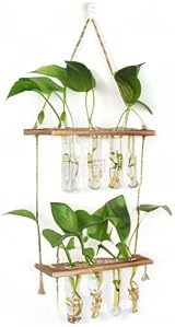 Hyindoor 2 Tier Propagation Station Glass Planter Wall Hanging Test Tubes 8pcs view 8