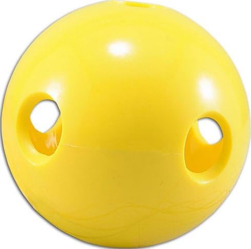 Total Control 2.9" Training Standard Hole Ball 74 (Multi Pk)