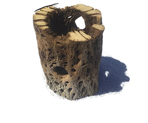 3, 6, 9, 12 Inch All Natural Teddy Bear Cholla Wood Extra Hollow Untreated Organic Aquarium Driftwood Decoration Chew Toy Shrimp Crab Pleco Cichlid Nano Tank Birds 1 or 5 Pieces (1 Piece, 3 inch)