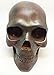World WAR Rusted Skull Statue Skeleton Figurine 7