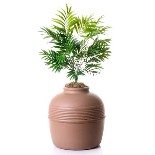 Good Pet Stuff Company Hidden Cat Litter Box Pet Supplies, Cats, Litter & Housebreaking, Litter Boxes, Standard Litter Boxes