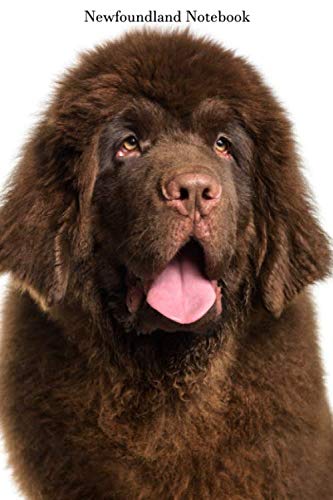 Newfoundland Notebook: Cool Newfoundland notebook - Travel Journal to write in - 120 pages - 6"x9"
