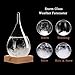 KYMAKE Storm Glass Weather Predictor - Creative Crystal Glass Bottle Desktop Drops Craft Weather Station with Pure Wood Base - High-Class Decoration on Home & Office (Small-612)