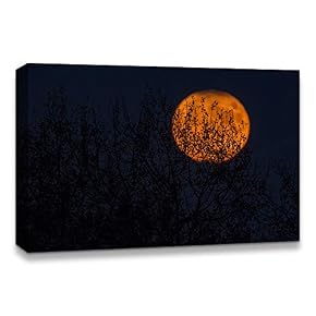 Halloween Pumpkin Lantern Painting Artwork for Home Framed
