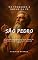 Livro “São Pedro Da Fraqueza à Rocha da Fé” : A jornada do homem que caiu diante do medo, mas foi erguido pelo amor de Cristo. (OS SANTOS DE TODO DIA)