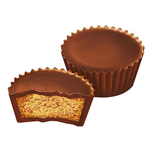 REESE'S Peanut Butter Cups Miniatures, 40 Ounce eBay