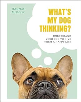 What S My Dog Thinking Understand Your Dog To Give Them A Happy Life Amazon Co Uk Molloy Bsc Animal Behaviour Hannah 9780241435830 Books