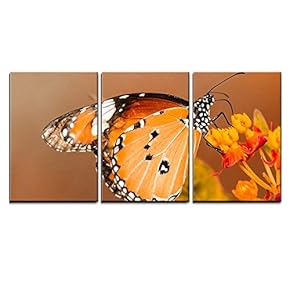 3 Piece Canvas Wall Art - a Butterfly Stay on The Flower - Modern Home Art Stretched and Framed Ready to Hang - 16"x24"x3 Panels