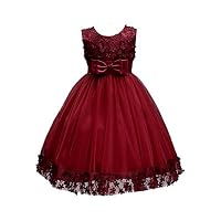 Weileenice 1-14T Big/Little Girl Ball Gown Lace Party Dresses A-line Flower Girls Dress with Bowknot for Wedding (13-14Y, Burgundy)
