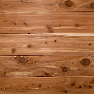 Cedar Candle/Soap Fragrance Oil 1oz