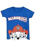 Paw Patrol Boys' Paw Patrol T-Shirt