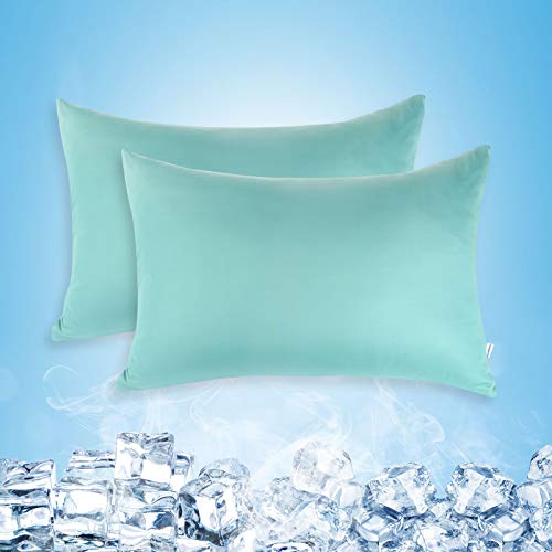 pillowcase protectors with zips