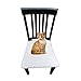 RELIABEST Waterproof Dining Chair Cover Protector - Pack 2 - Perfect for Pets, Kids, Elderly, Restaurants, Party - Machine Washable, Snugly Fit, Removable, Clean The Mess Easily (Beige(with Buttons))