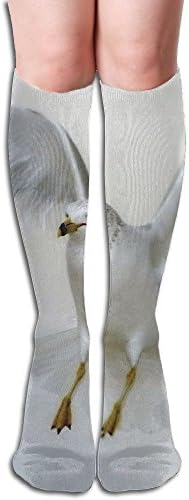 Unisex Knee High Long Socks White Seagull Landing Over Calf Casual Sport Stocking Cotton