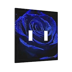 Blue Rose Flower 2 Gang Double Toggle Light Switch